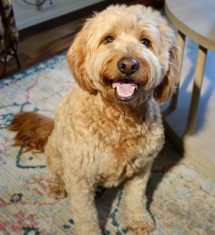 Ruby June